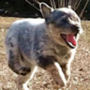 Meet your Posher, Brandy